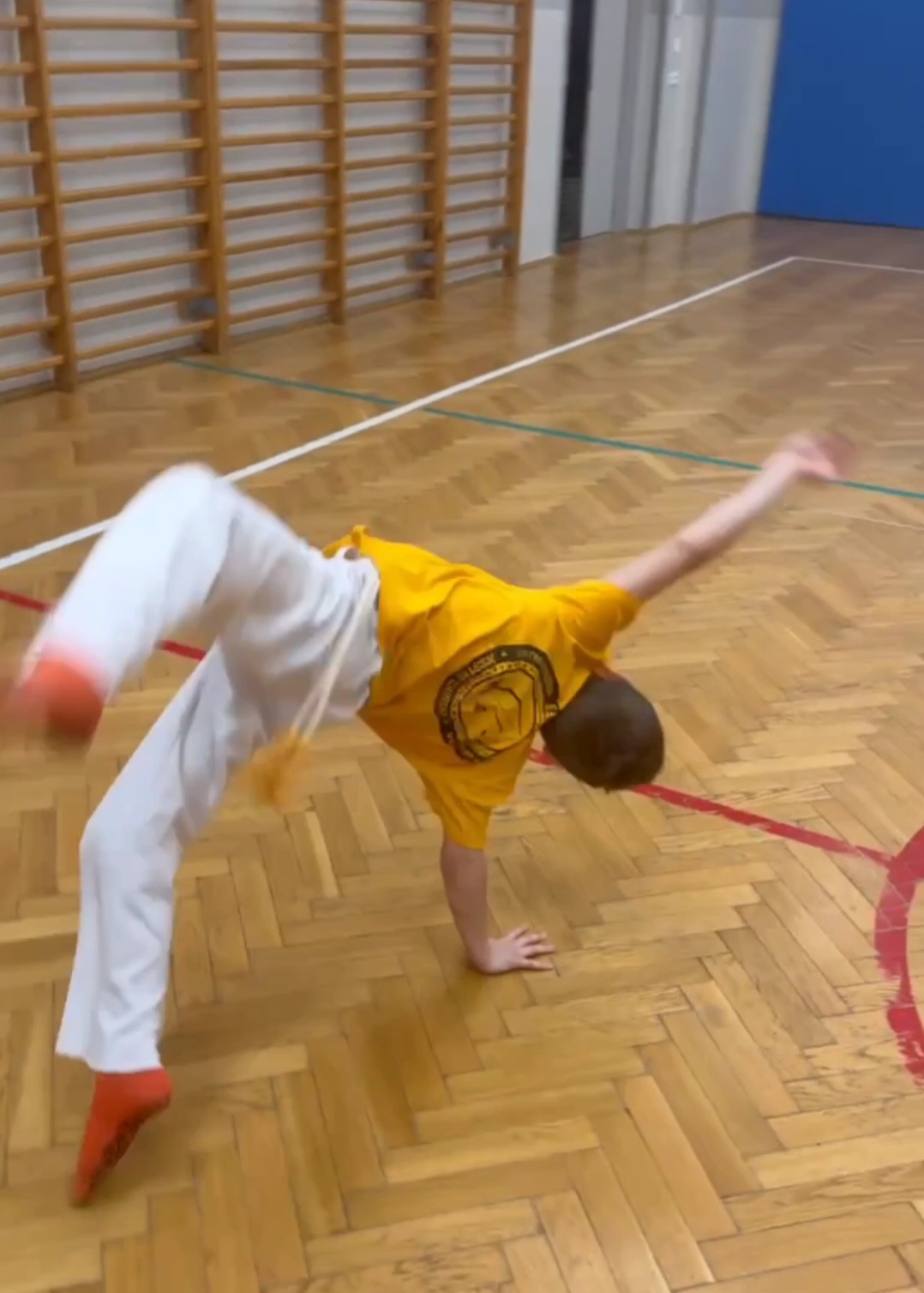Treningy brazylijskiej sztuki walki  CAPOEIRA